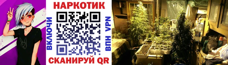 Купить закладку Керчь Альфа ПВП  Кокаин  Гашиш  Меф  Канабис 