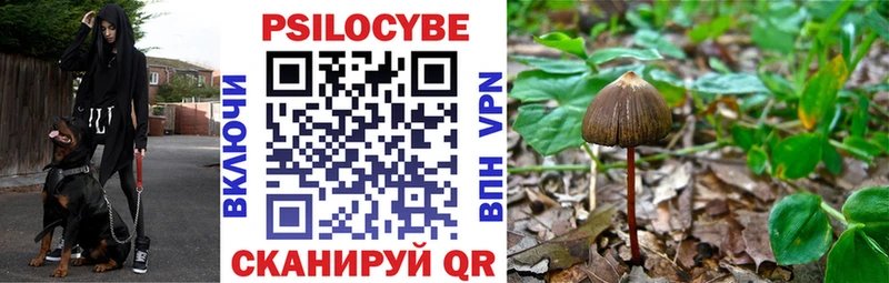 Галлюциногенные грибы MAGIC MUSHROOMS  Керчь 