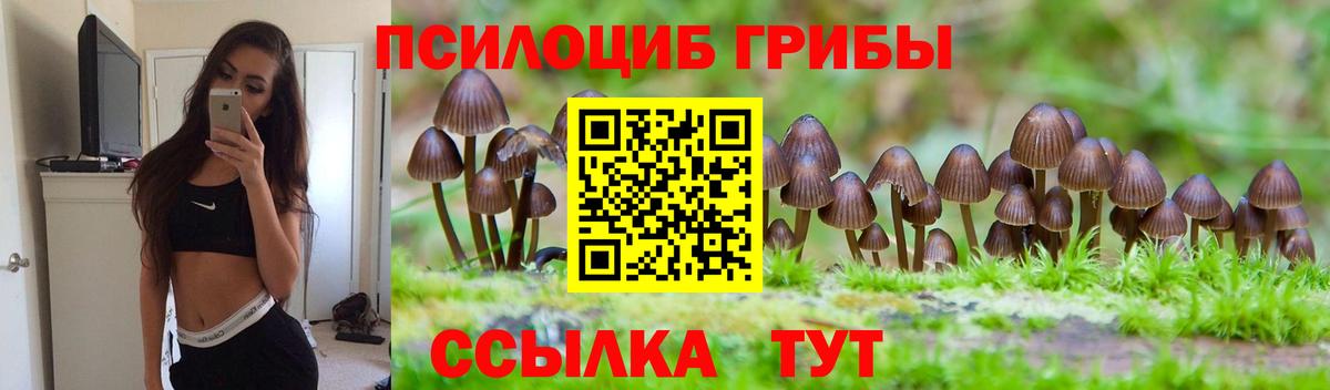 Галлюциногенные грибы Psilocybe Керчь